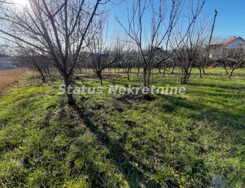 Kuća Prodaja Novi Sad  146 m2