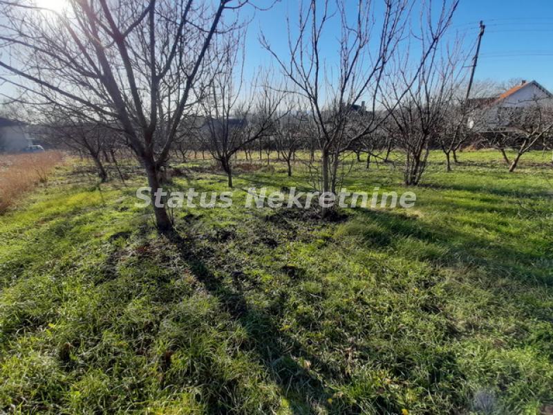 Kuća Prodaja Novi Sad Kuća Prodaja Novi Sad 146 m2