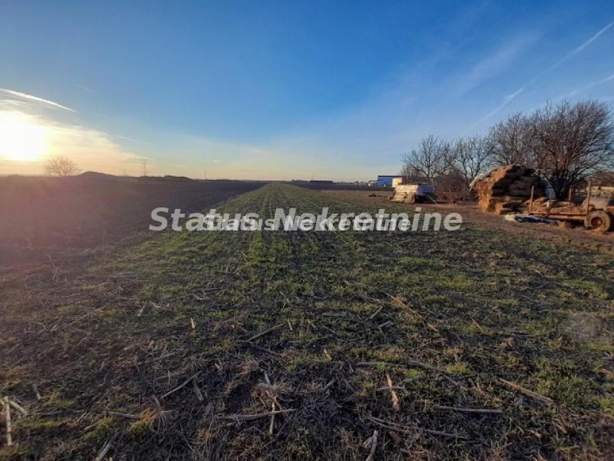 Plac Prodaja Novi Sad Plac Prodaja Novi Sad 0 m2