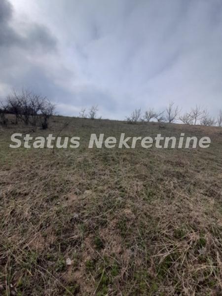 Plac Prodaja Novi Sad  0 m2