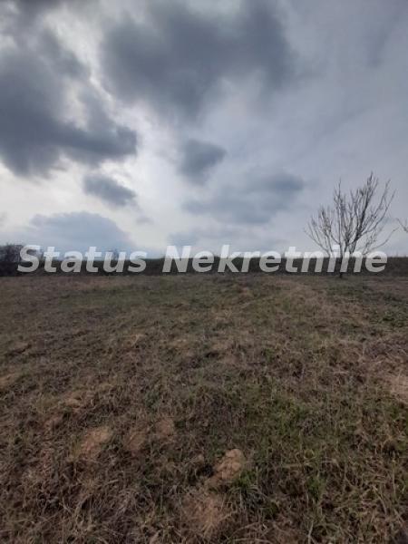 Plac Prodaja Novi Sad  0 m2