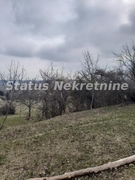 Plac Prodaja Novi Sad  0 m2