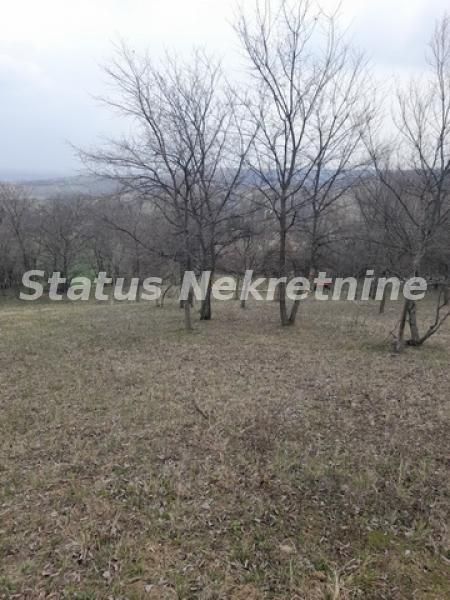 Plac Prodaja Novi Sad  0 m2