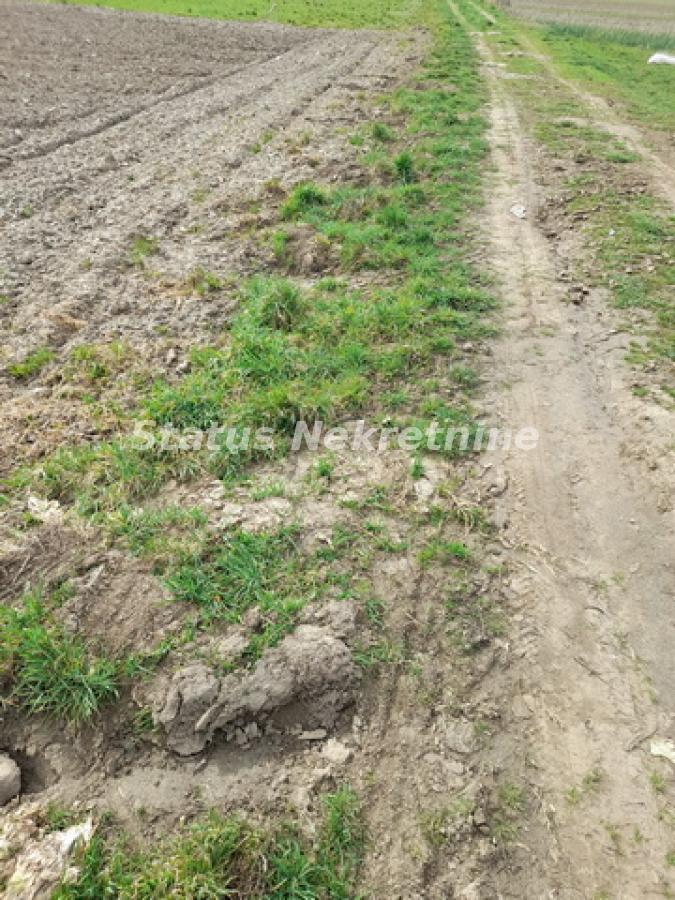 Plac Prodaja Novi Sad Plac Prodaja Novi Sad 0 m2