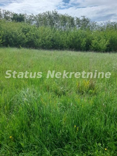 Plac Prodaja Vrdnik  0 m2