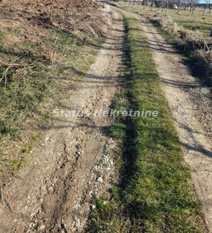 Plac Prodaja Vrdnik  0 m2