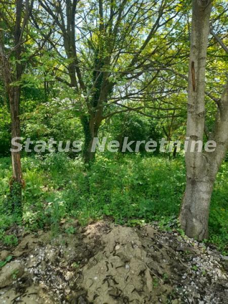 Plac Prodaja Irig  0 m2