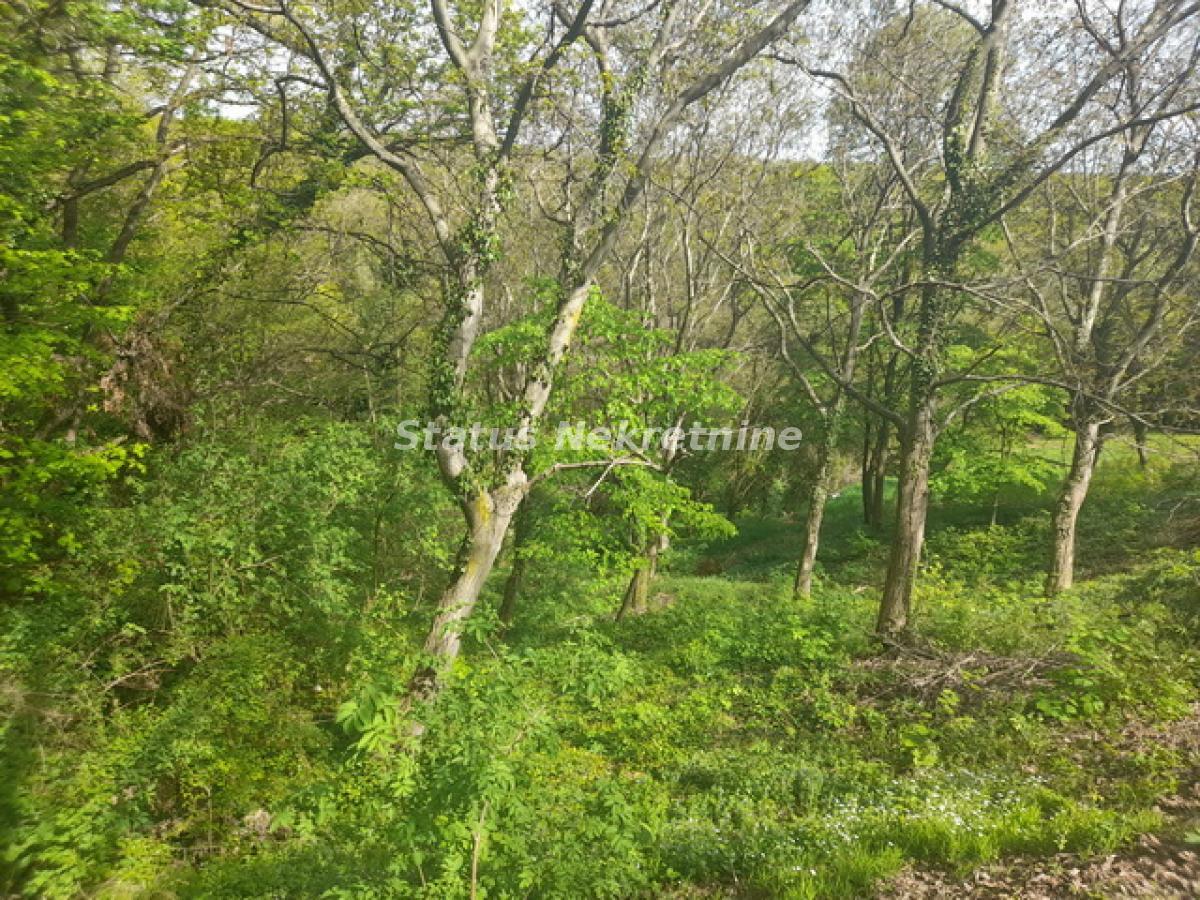 Plac Prodaja Irig  0 m2