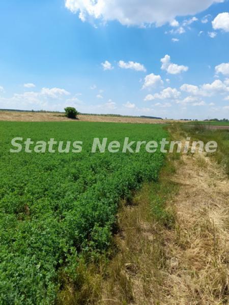 Plac Prodaja Novi Sad  0 m2