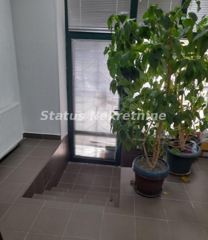 Lokal Prodaja Novi Sad  133 m2