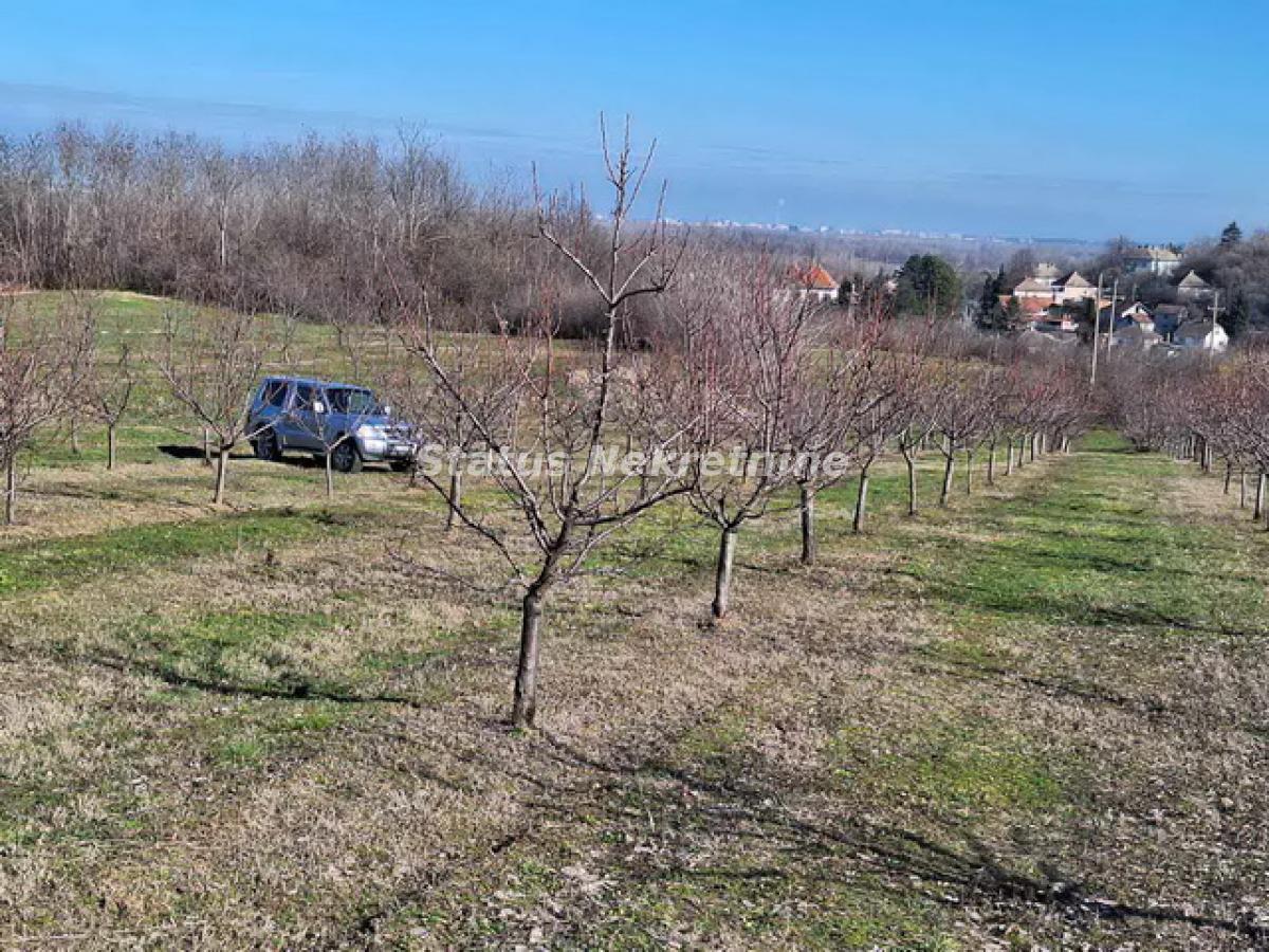 Plac Prodaja Beočin Plac Prodaja Beočin 0 m2