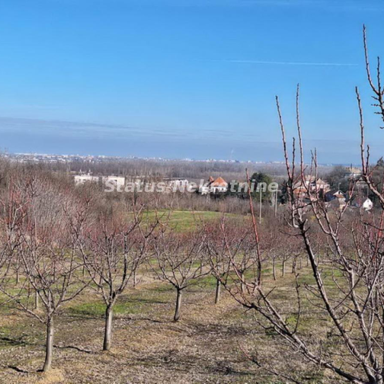 Plac Prodaja Beočin  0 m2