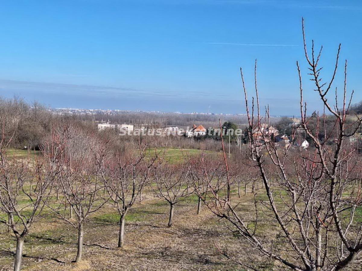 Plac Prodaja Beočin Plac Prodaja Beočin 0 m2