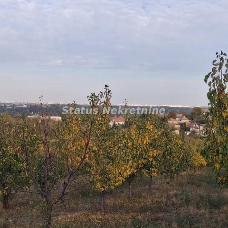 Plac Prodaja Beočin  0 m2