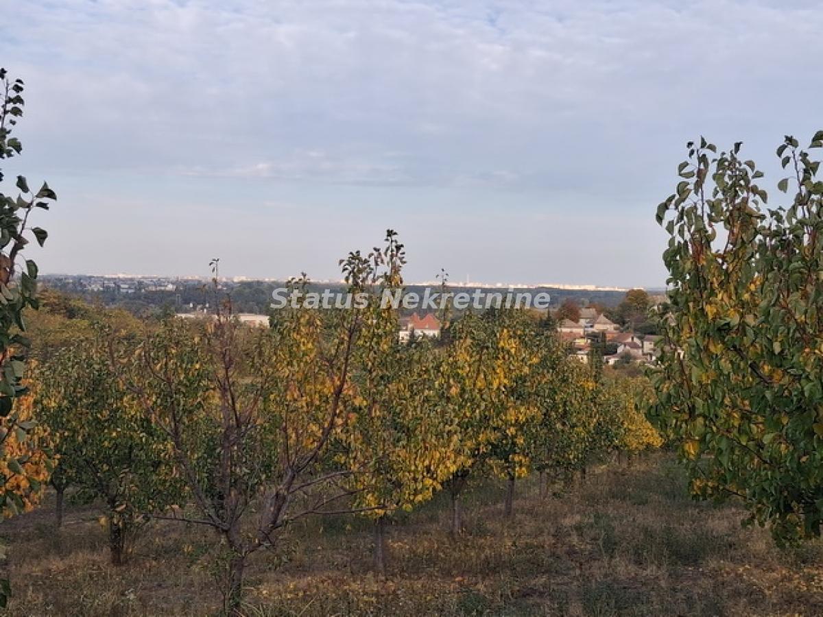 Plac Prodaja Beočin Plac Prodaja Beočin 0 m2