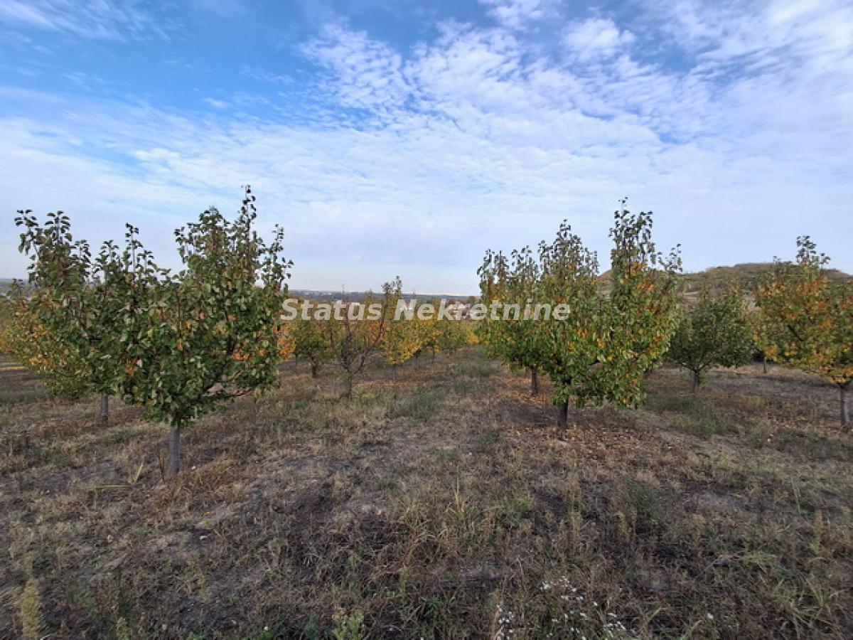 Plac Prodaja Beočin Plac Prodaja Beočin 0 m2