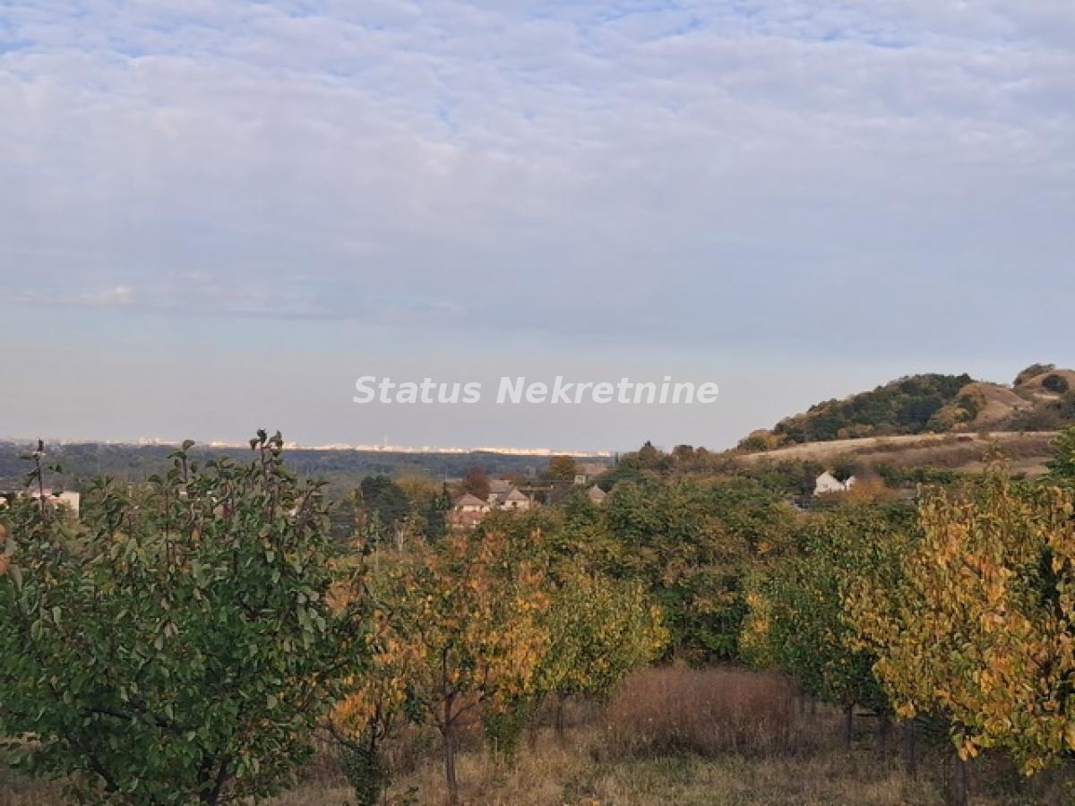 Plac Prodaja Beočin Plac Prodaja Beočin 0 m2