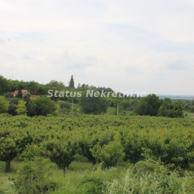 Plac Prodaja Inđija Krčedin 0 m2