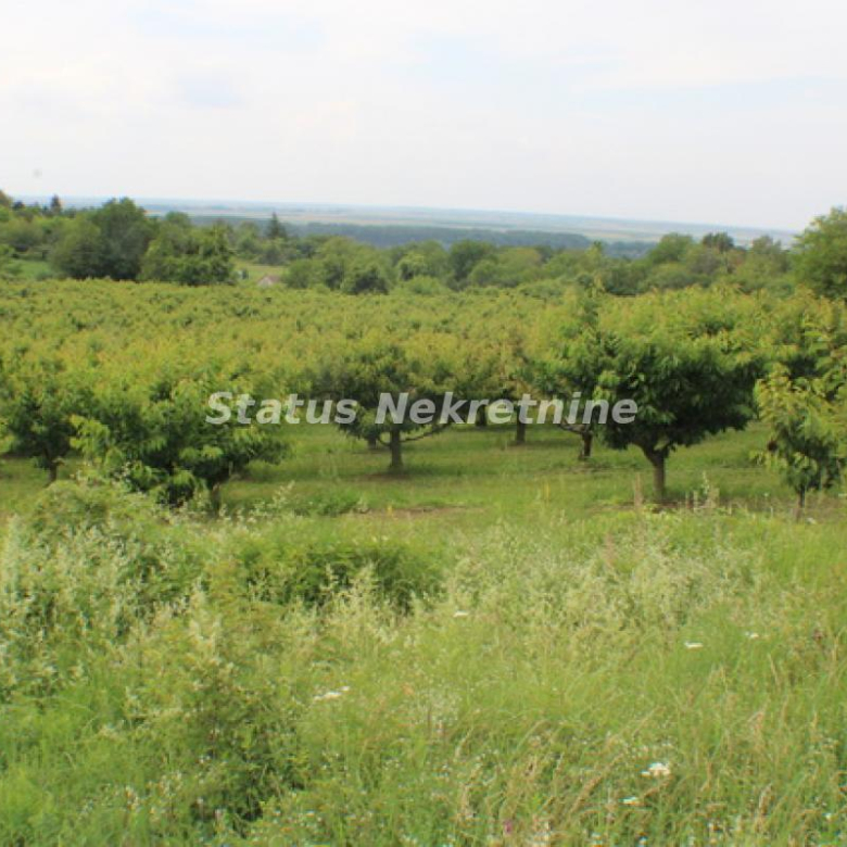 Plac Prodaja Inđija Krčedin 0 m2