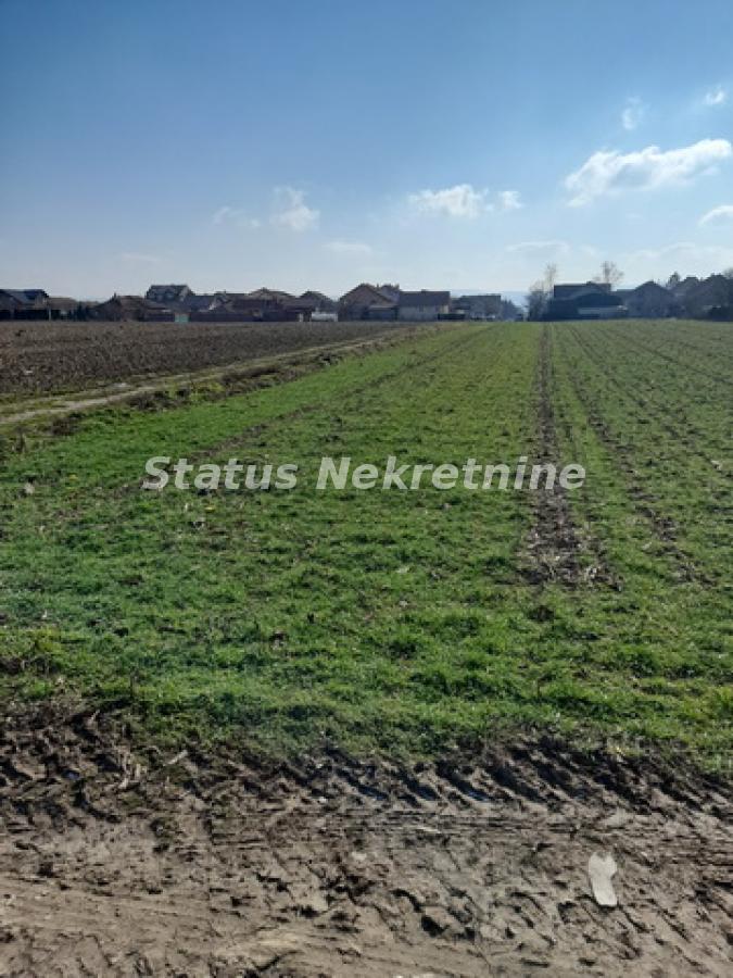 Plac Prodaja Novi Sad Plac Prodaja Novi Sad 0 m2