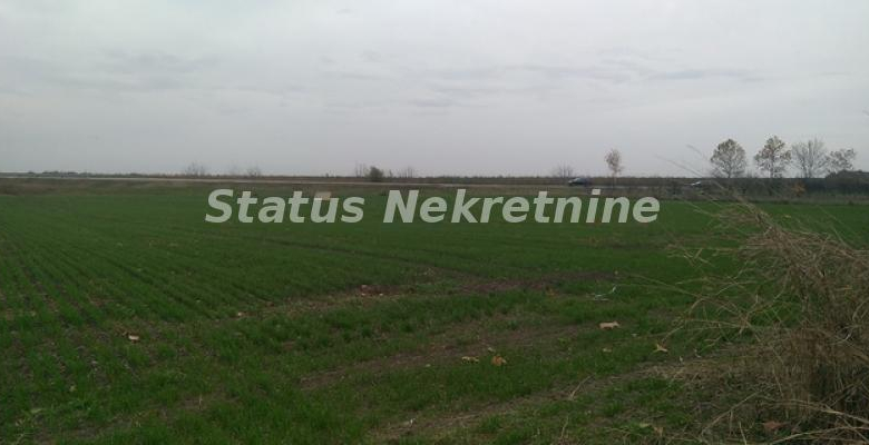 Plac Prodaja Novi Sad  0 m2