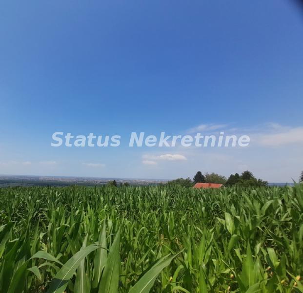 Plac Prodaja Beočin  0 m2