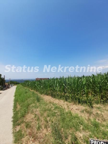 Plac Prodaja Beočin  0 m2