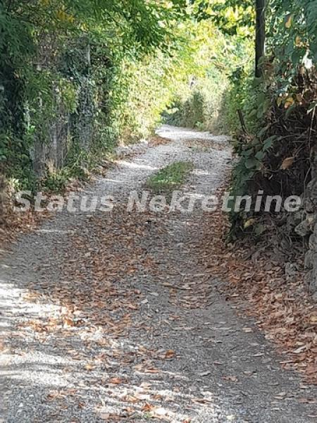 Plac Prodaja Novi Sad  0 m2