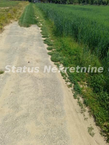 Plac Prodaja Irig  0 m2