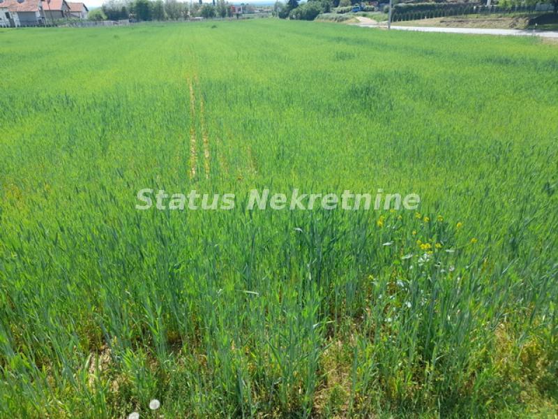 Plac Prodaja Irig  0 m2