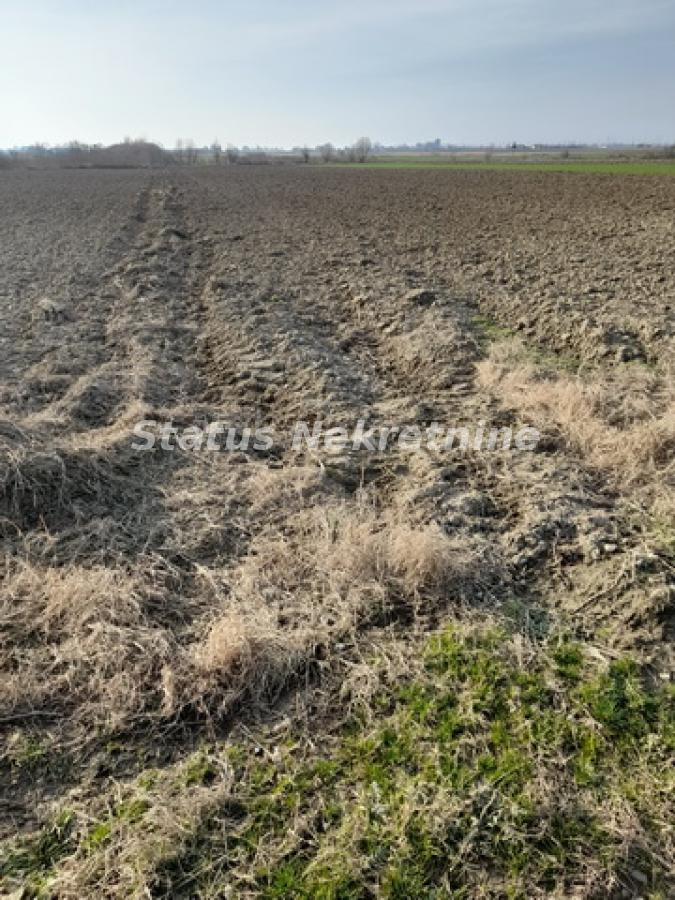 Plac Prodaja Novi Sad Plac Prodaja Novi Sad 0 m2
