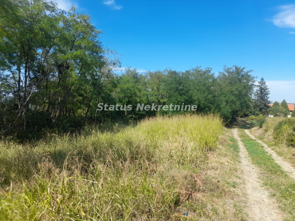 Plac Prodaja Inđija  0 m2