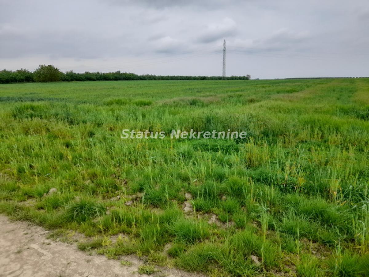 Plac Prodaja Novi Sad Plac Prodaja Novi Sad 0 m2