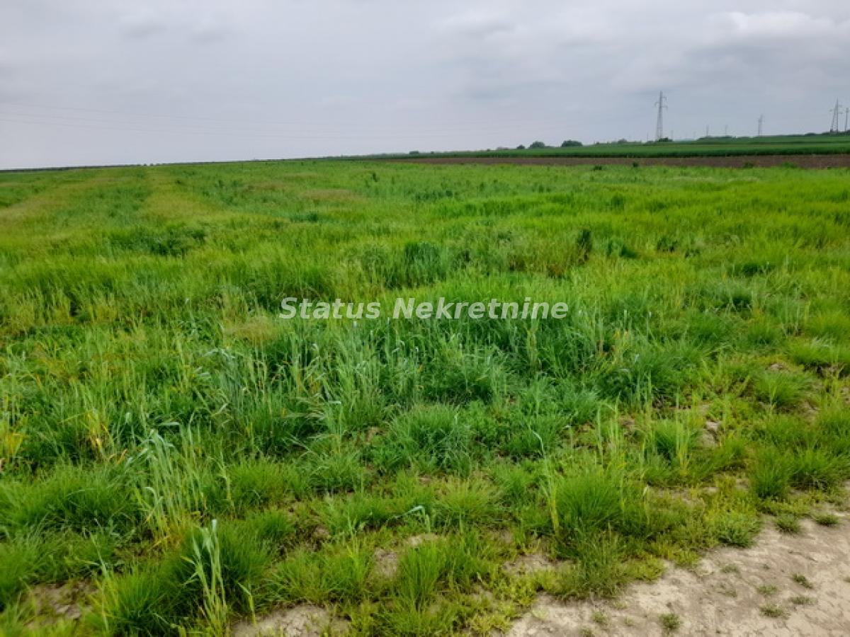 Plac Prodaja Novi Sad Plac Prodaja Novi Sad 0 m2