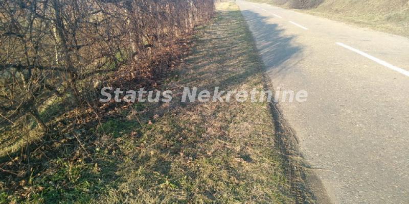 Plac Prodaja Sremski Karlovci  0 m2
