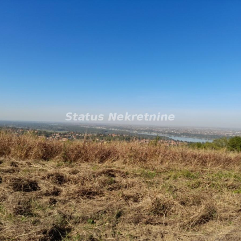 Plac Prodaja Novi Sad  0 m2