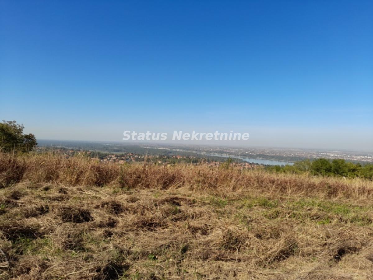 Plac Prodaja Novi Sad Plac Prodaja Novi Sad 0 m2