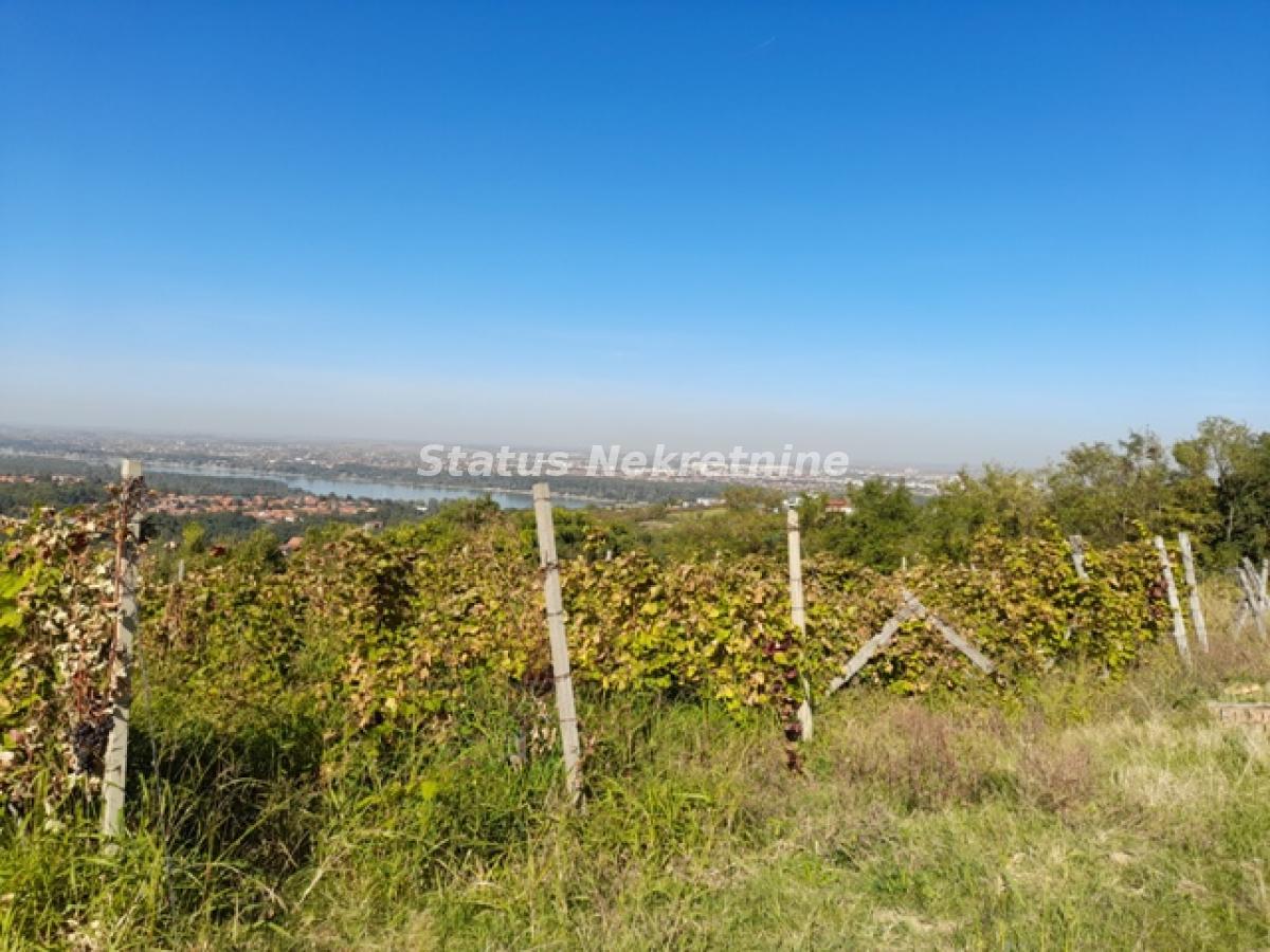 Plac Prodaja Novi Sad Plac Prodaja Novi Sad 0 m2