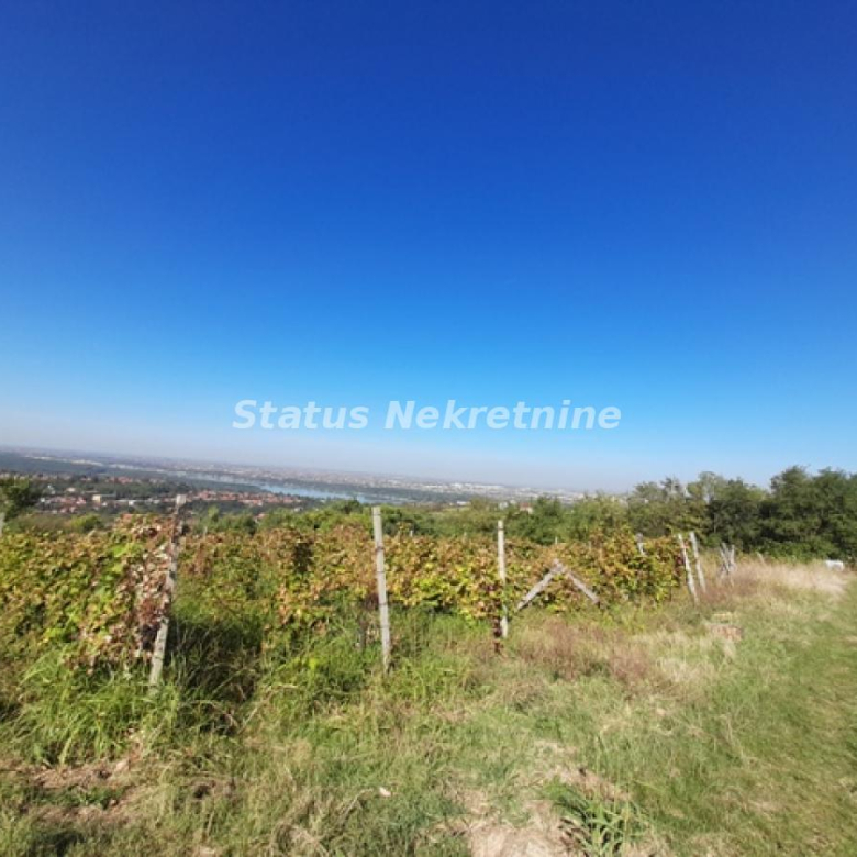 Plac Prodaja Novi Sad  0 m2