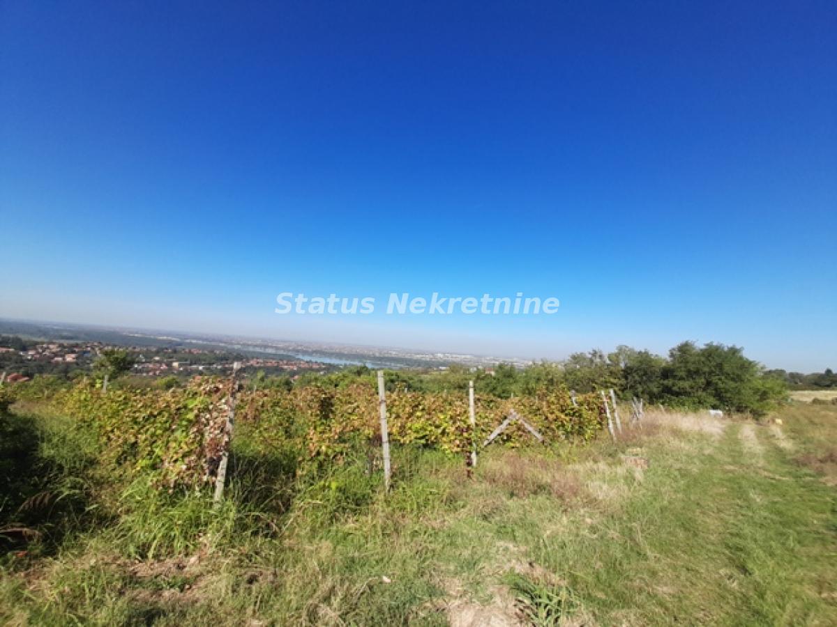 Plac Prodaja Novi Sad Plac Prodaja Novi Sad 0 m2