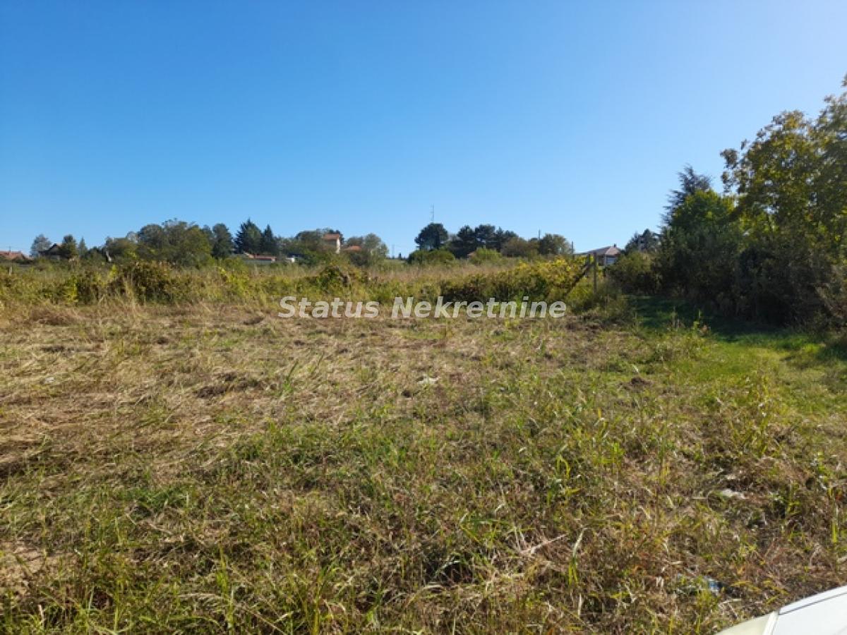 Plac Prodaja Novi Sad Plac Prodaja Novi Sad 0 m2
