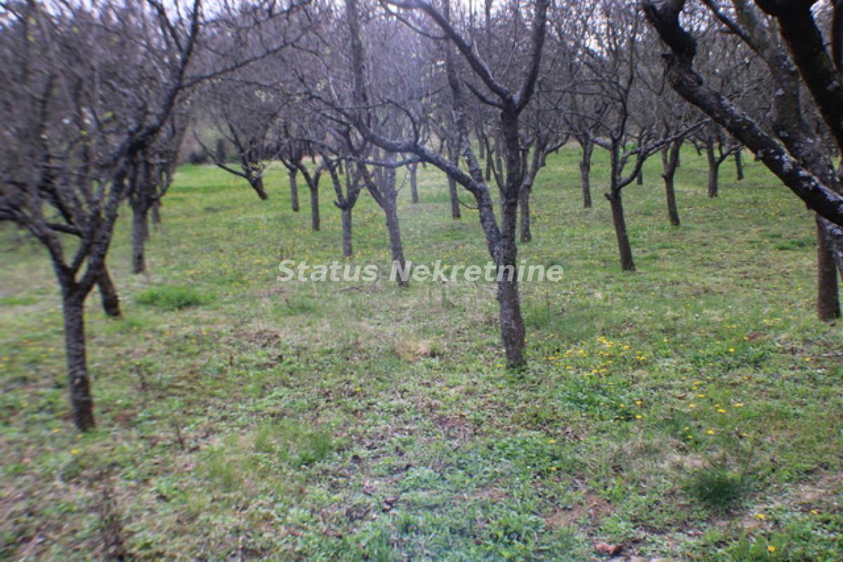 Plac Prodaja Inđija  0 m2