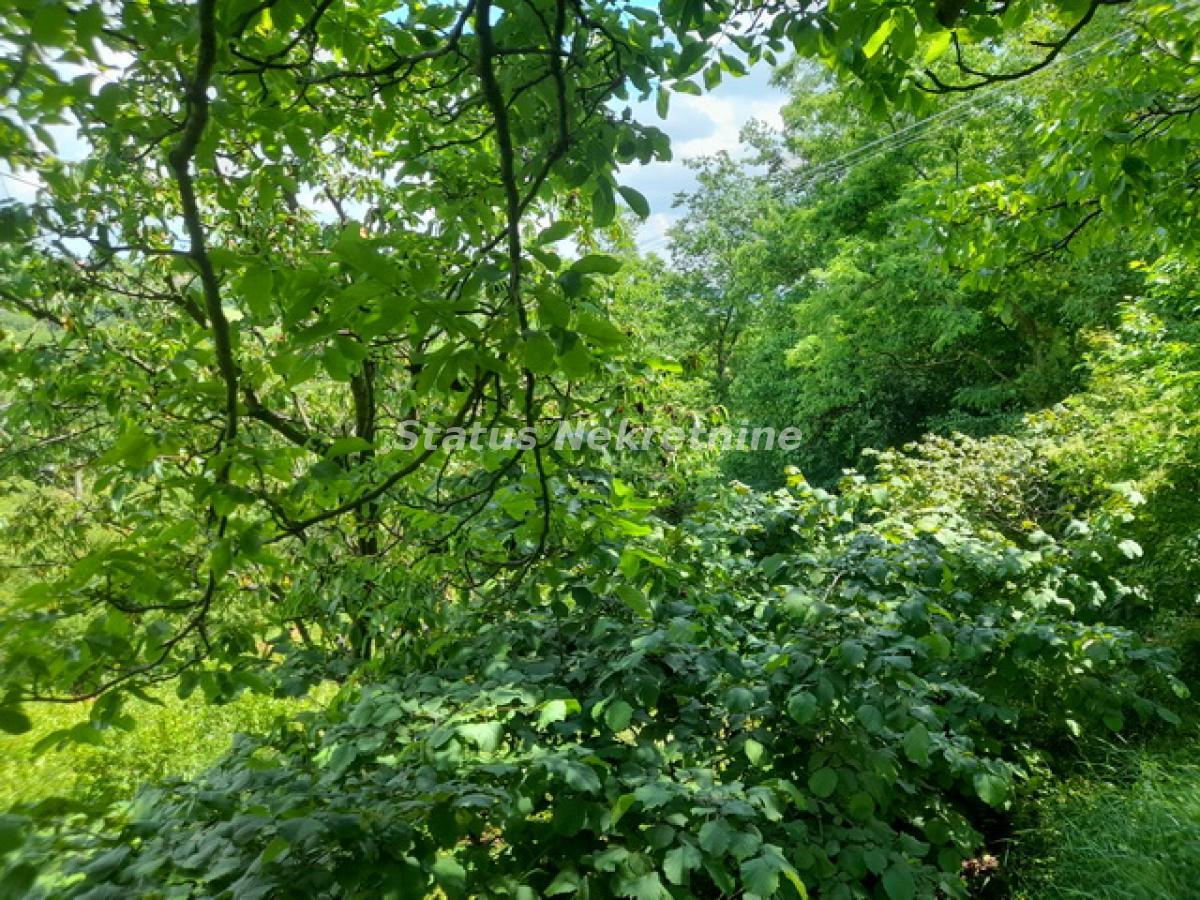 Plac Prodaja Inđija  0 m2