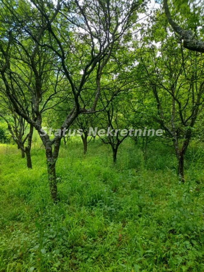 Plac Prodaja Inđija  0 m2