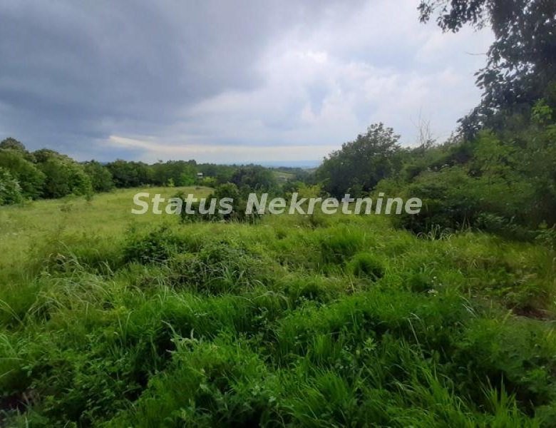 Plac Prodaja Novi Sad  0 m2