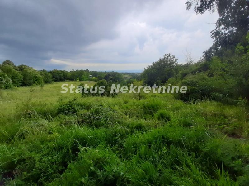 Plac Prodaja Novi Sad  0 m2