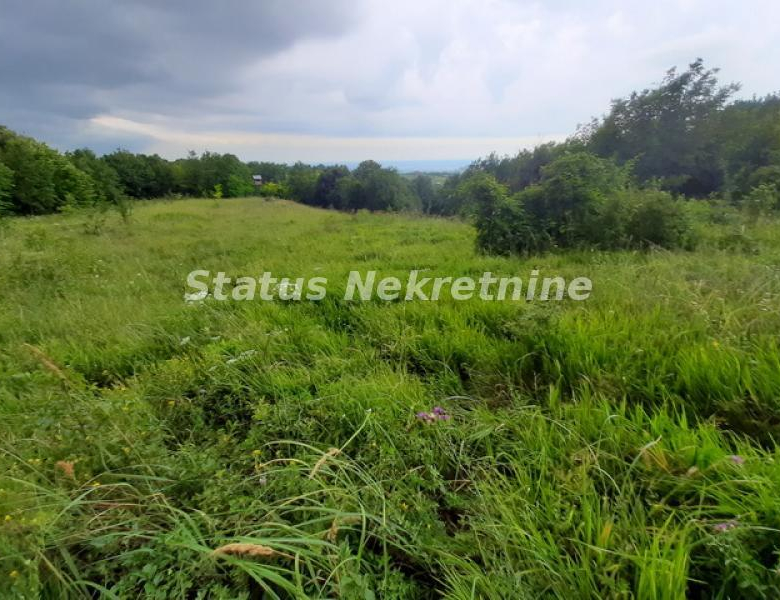 Plac Prodaja Novi Sad  0 m2