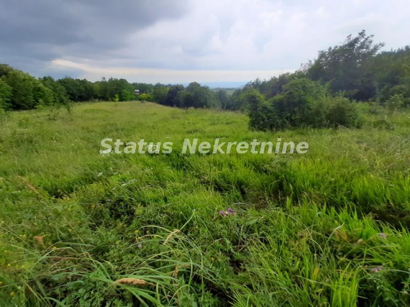 Plac Prodaja Novi Sad  0 m2
