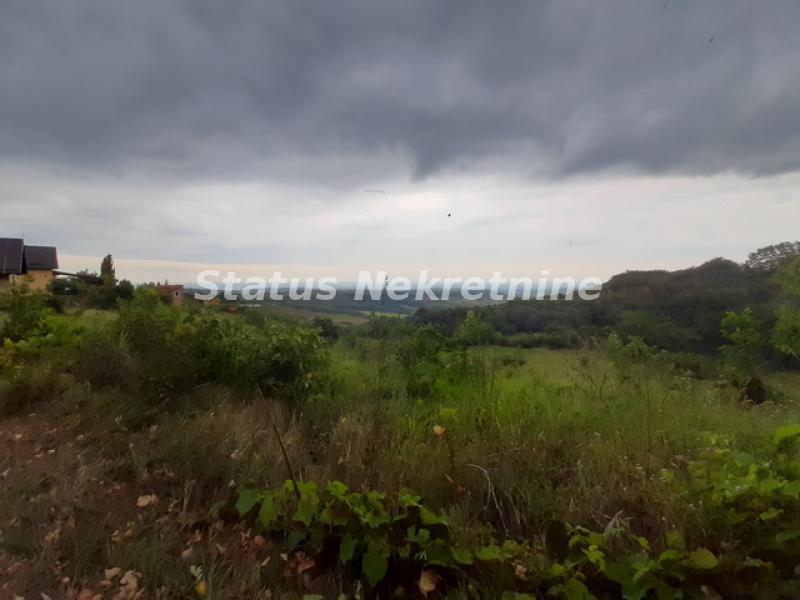 Plac Prodaja Novi Sad  0 m2