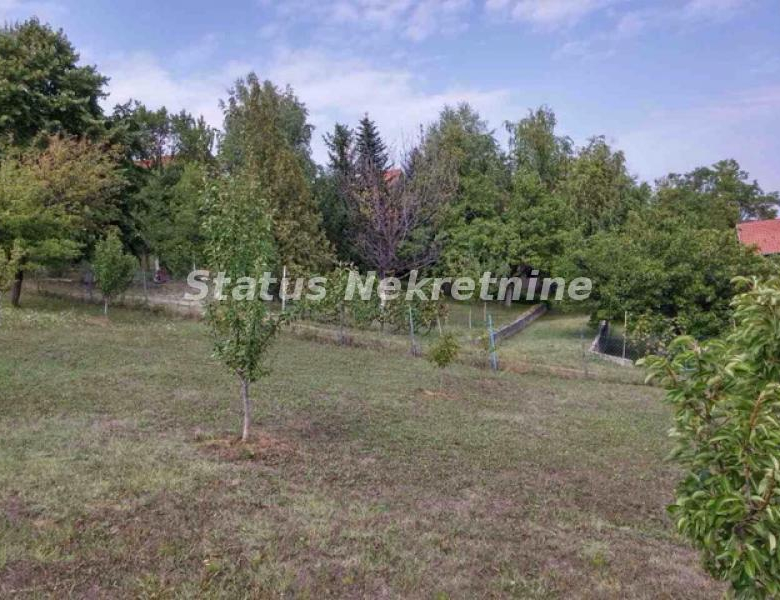 Plac Prodaja Novi Sad  0 m2